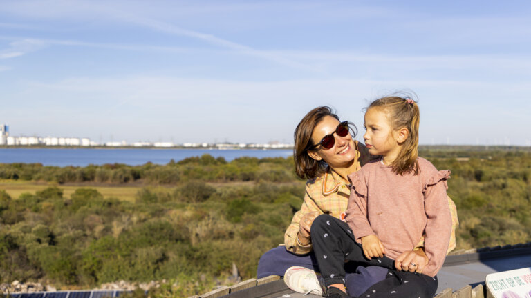 Wellbeing and Safety