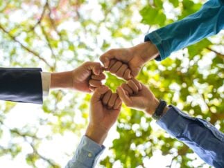 Różnorodność, równość i włączenie społeczne